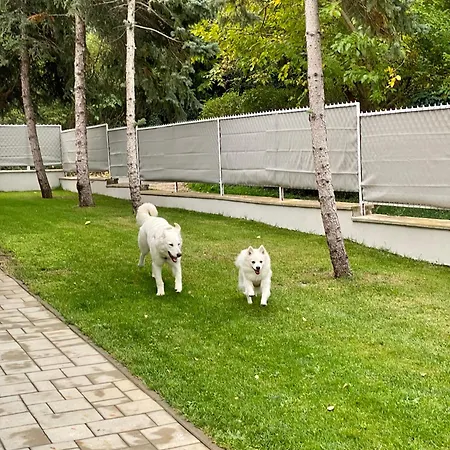 بيت للعطل Felix House شيوفوك